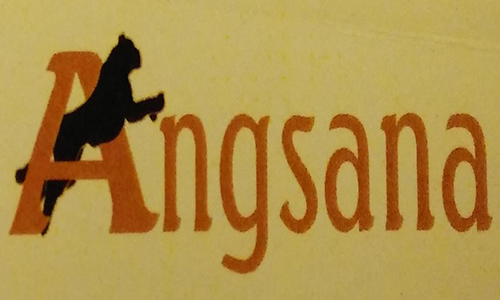 ANGSANA GROUP